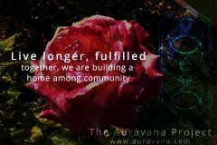auravana-Artistic-Paradise-Designed-For-All-CC0-P0