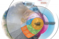 model-decision-overview-service-design-usage