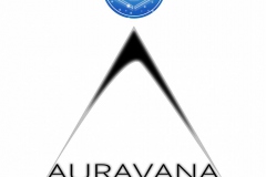 auravana-Emblem-Team-That-Finds-The-Way-v8-CC0-P0
