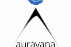 auravana-Emblem-Team-That-Finds-The-Way-v9-CC0-P0