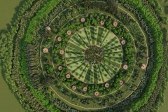 auravana-habitat-AuraKraho-top-V001-05