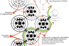 model-material-habitat-network-life-cultivation-auracurve-team-animal-rotation