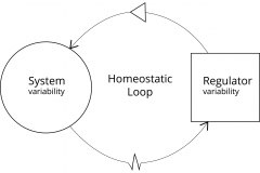 model-decision-decisioning-cybernetics-ashbys-law
