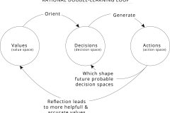 model-decision-decisioning-learning-double-loop-values-decisions-actions