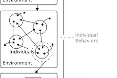 model-decision-decisioning-self-organisation-control-program