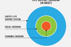 model-decision-economic-life-support-priority-encoding