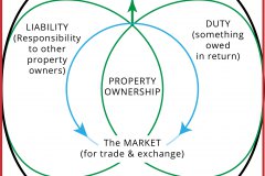 model-decision-economic-market-ownership-property-duty-responsibility