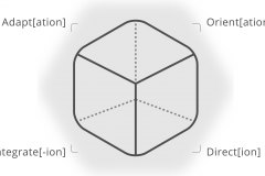 model-decision-intelligence-navigation-adapt-integrate-orient-direct