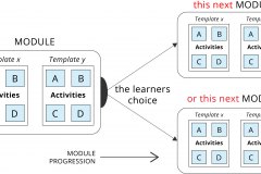model-lifestyle-learning-progression-module-next