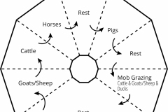 model-material-cultivation-grazing-rotation-CC0-P0