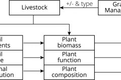 model-material-cultivation-farm-organization