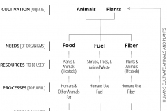 model-material-cultivation-food-fuel-fiber-plants-animals-humanss-needs-CC0-P0