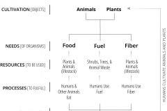 model-material-cultivation-food-fuel-fiber-plants-animals-humanss-needs