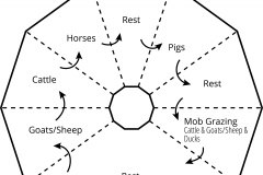 model-material-cultivation-grazing-rotation