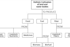 model-material-cultivation-holistic-land-acquatic-food-fuel-fiber-hierarchy