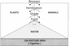 model-material-cultivation-pasture-water-plants-animals-CC0-P0