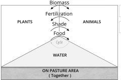 model-material-cultivation-pasture-water-plants-animals