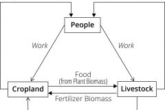 model-material-cultivation-people-cropland-livestock-food-fuel-fiber