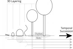 model-material-cultivation-plant-3d-layering-temporal-succession