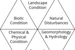 model-material-ecological-attributes-CC0-P0