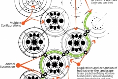 model-material-habitat-network-life-cultivation-auracurve-team-animal-rotation-CC0-P0