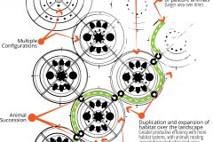 model-material-habitat-network-life-cultivation-auracurve-team-animal-rotation