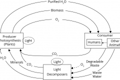 model-material-life-biological-material-cycle-simplified-CC0-P0