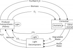 model-material-life-biological-material-cycle-simplified
