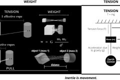 model-material-measurement-tension-rope-model-weight-inertia