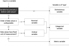 model-material-measurement-variable-level-process-CC0-P0
