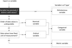 model-material-measurement-variable-level-process