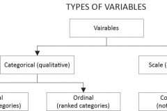 model-material-measurement-variable-types-CC0-P0
