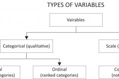 model-material-measurement-variables