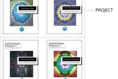 model-overview-auravana-project-standards