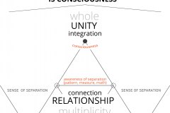 model-overview-community-unity-relationship