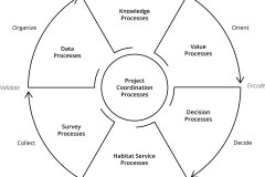 model-overview-real-world-community-information-system-view-coordination-processes