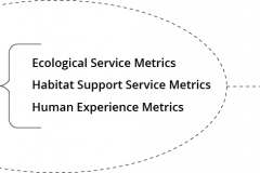 model-project-approach-decision-indicator-performance-metrics-CC0-P0