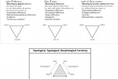 model-social-approach-criticial-typological-topographical-morphological