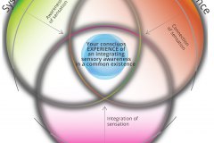 model-social-approach-overview-convergence
