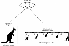 model-social-approach-science-rational-see-image-watch-movie-CC0-P0