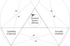 model-social-approach-systems-dynamic-abilities-CC0-P0
