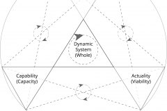 model-social-approach-systems-dynamic-abilities