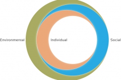 model-social-orientation-values-core-individual-social-environmental-CC0-P0