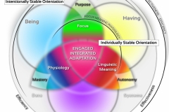 model-social-orientation-values-direction-modalities-integrated-adaptation-CC0-P0