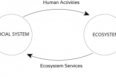 model-social-orientation-values-sustainability-social-eco-system-affects-CC0-P0