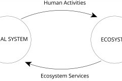 model-social-values-sustainability-social-eco-system-affects
