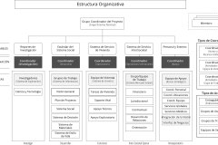 model-project-execution-organizational-chart
