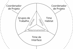 model-project-execution-contribution-service-organization-coordinators-teams-groups-CC0-P0