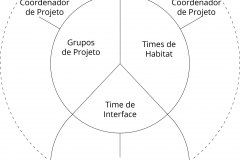 model-project-execution-contribution-service-organization-coordinators-teams-groups-societies