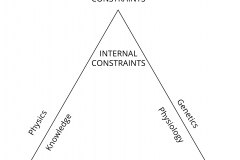 model-project-approach-constraints-internal-external-human-simplified